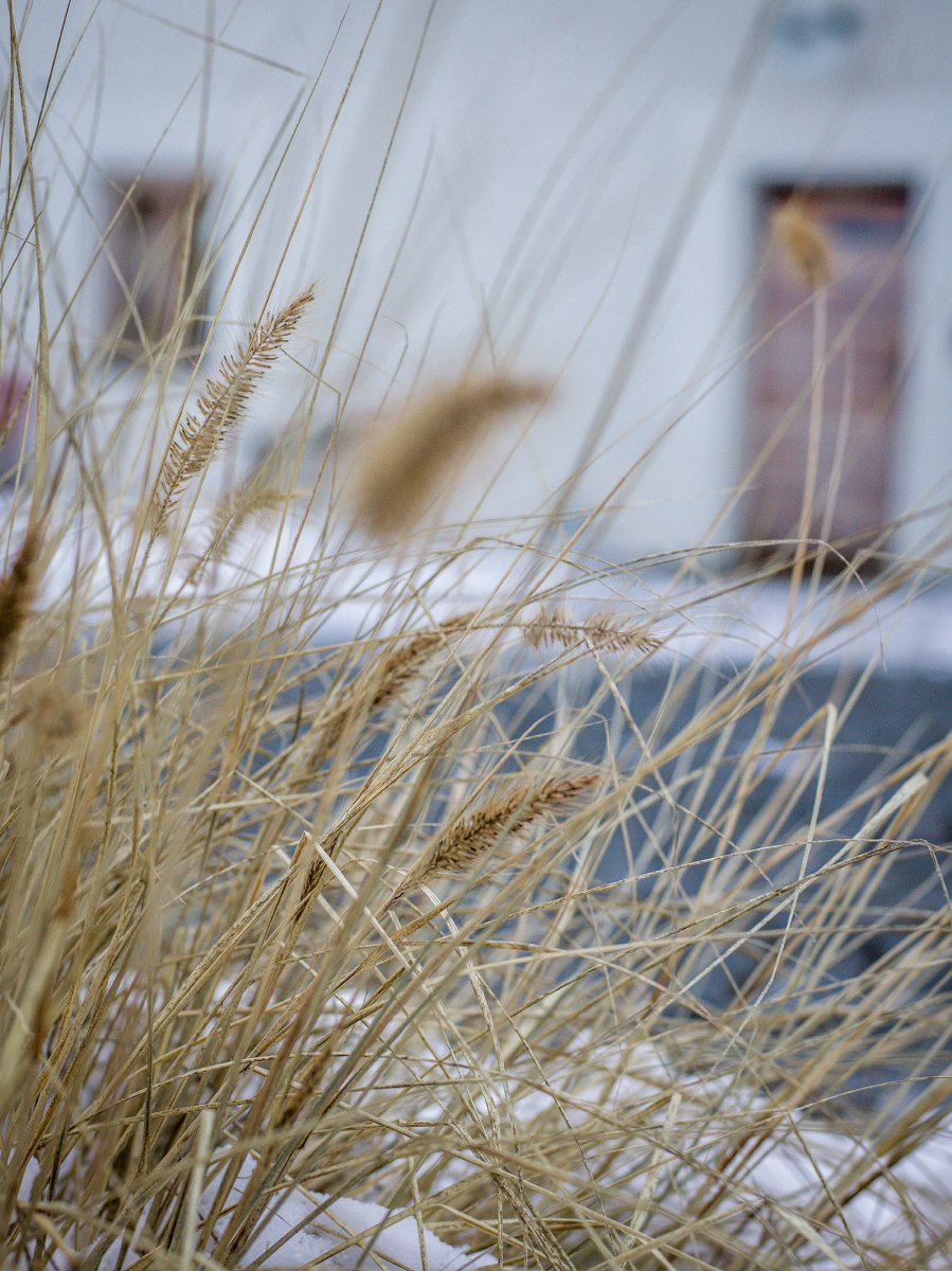 Haus Liebersberg – Foto 2