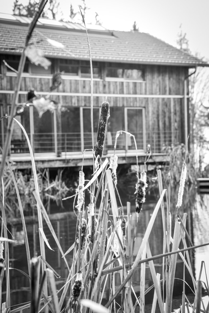 Andrea und Leo – Foto 6