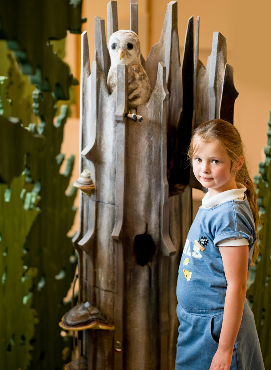 Waldwerkstatt – Nationalpark Bayerischer Wald – Foto 11