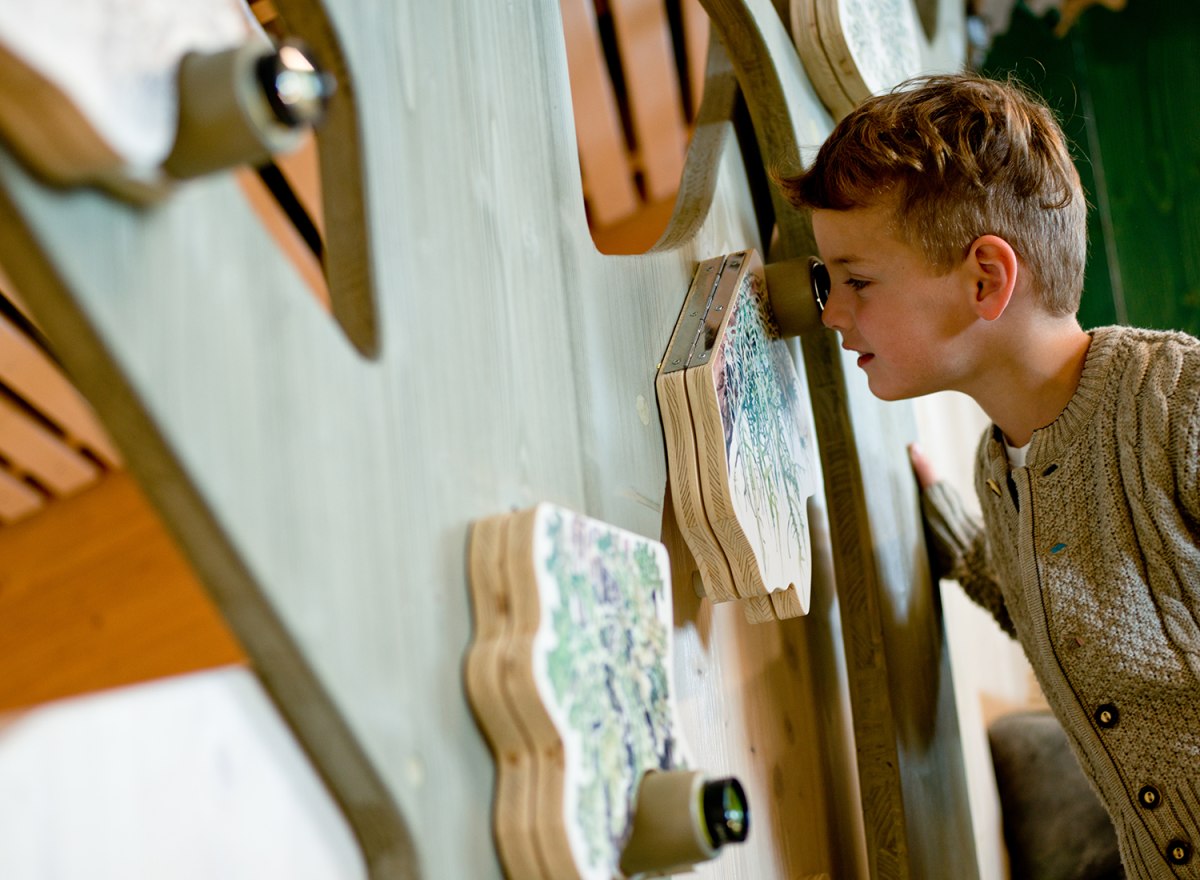 Waldwerkstatt – Nationalpark Bayerischer Wald – Foto 12