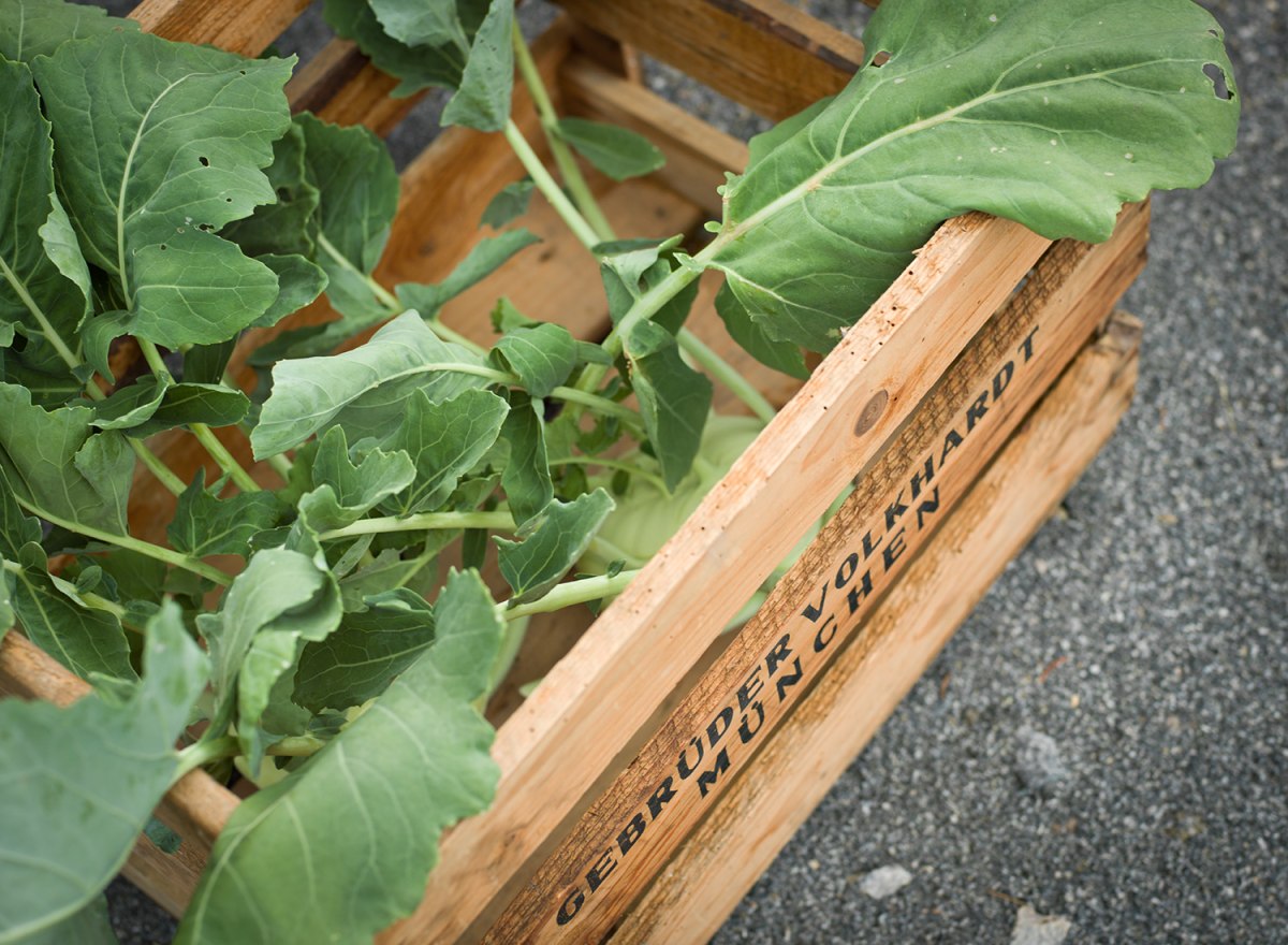 Biohotel Pausnhof – Foto 43