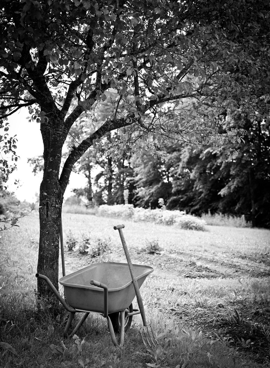 Biohotel Pausnhof – Foto 44