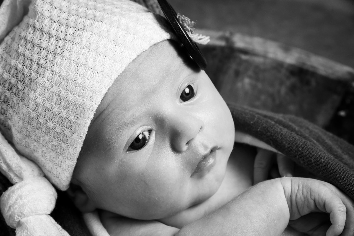 Valentin – Foto 14