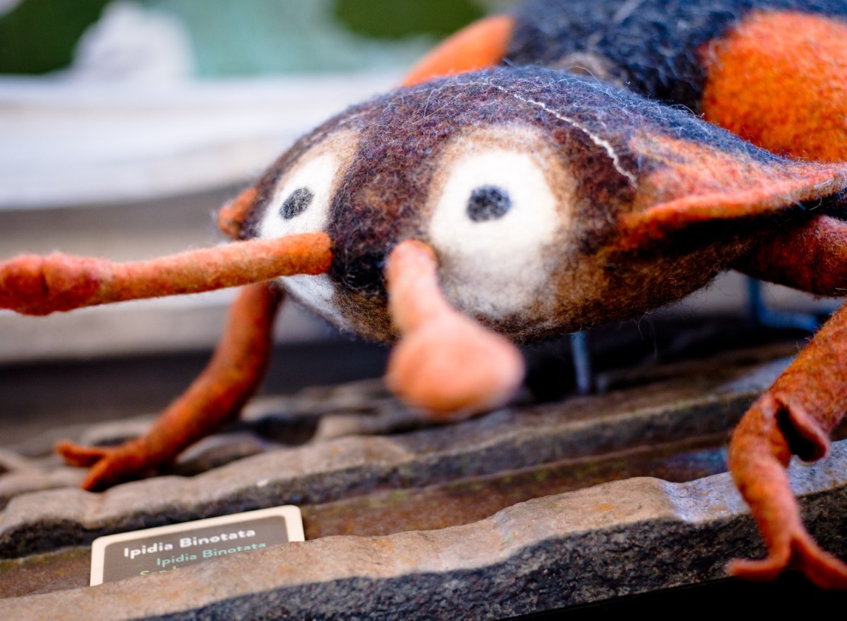 Waldwerkstatt – Nationalpark Bayerischer Wald – Foto 14