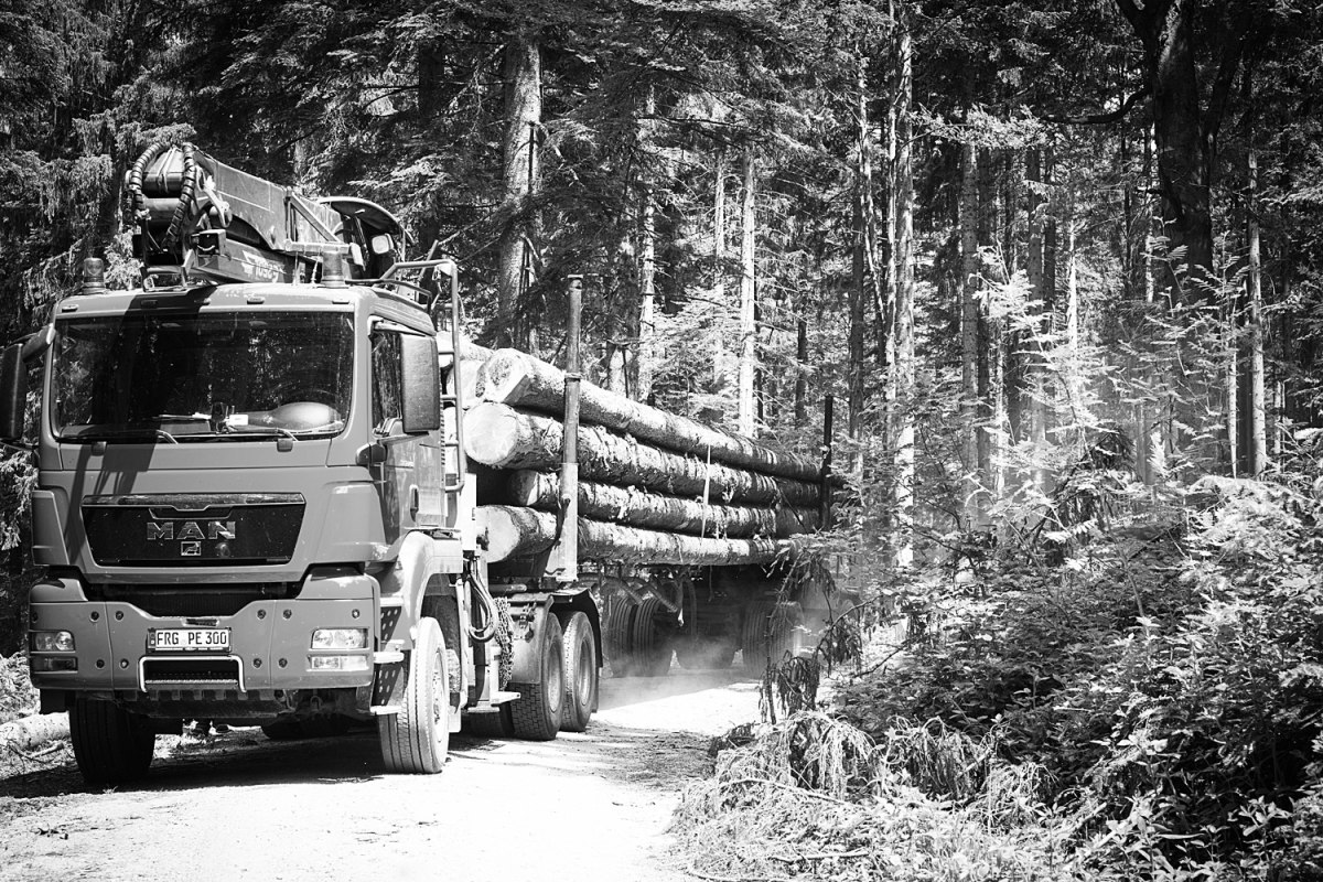 Holzwerke Weinzierl – Foto 15