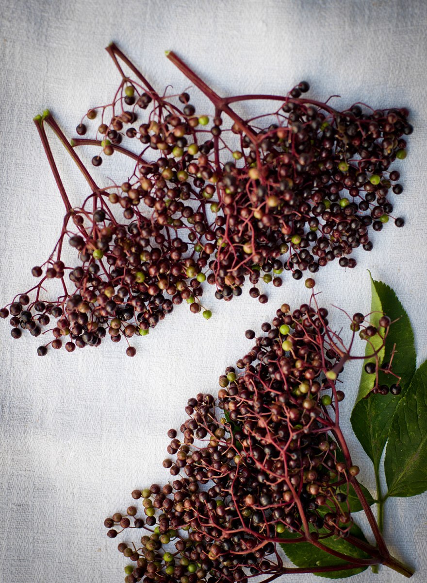 Biohotel Pausnhof – Foto 49