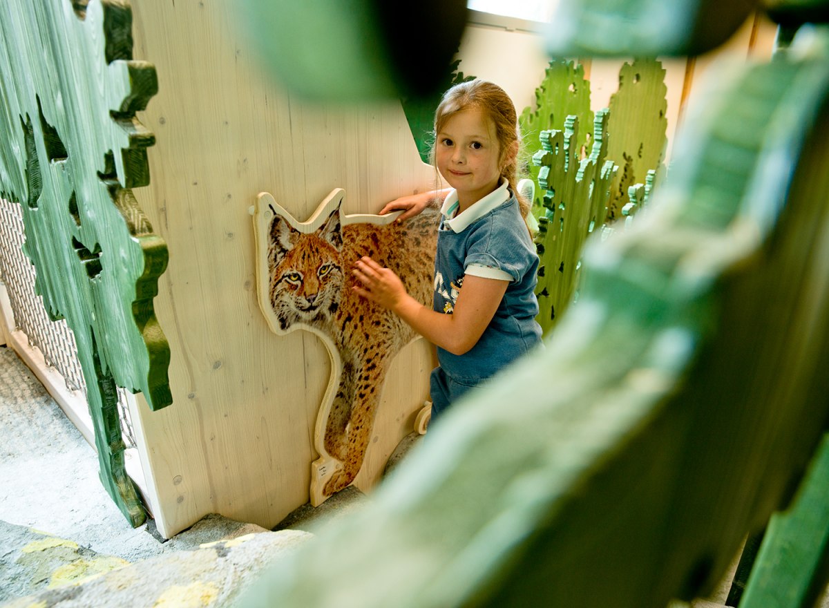 Waldwerkstatt – Nationalpark Bayerischer Wald – Foto 15