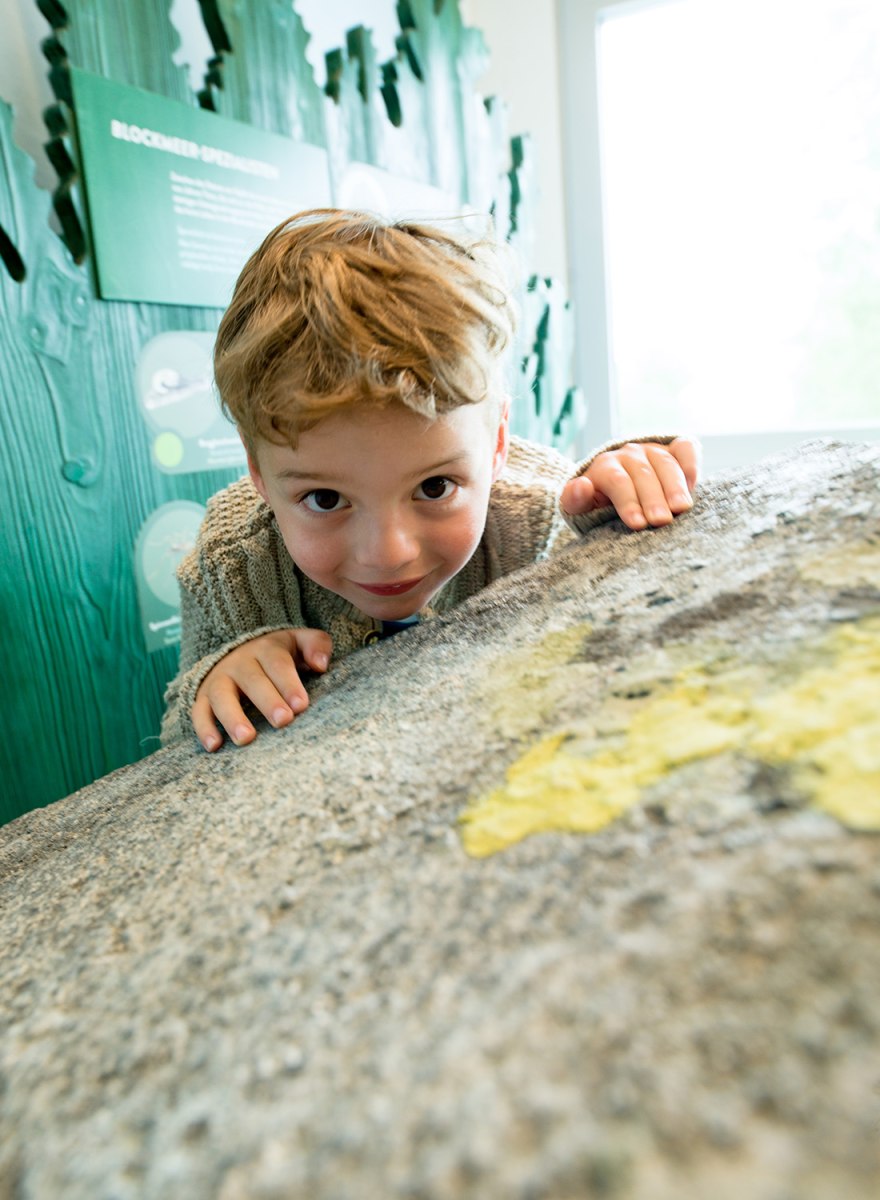 Waldwerkstatt – Nationalpark Bayerischer Wald – Foto 16