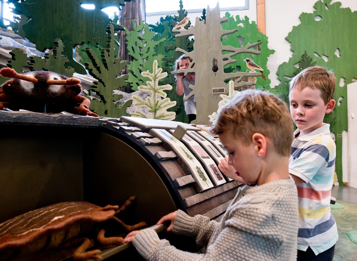 Waldwerkstatt – Nationalpark Bayerischer Wald – Foto 18