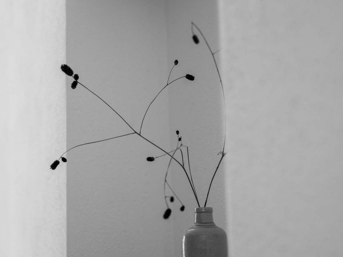 Moosham13 – Foto 20