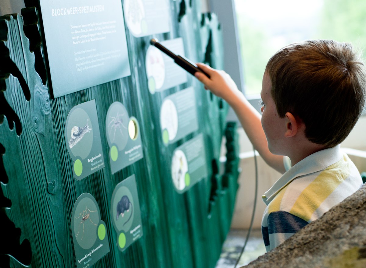 Waldwerkstatt – Nationalpark Bayerischer Wald – Foto 20