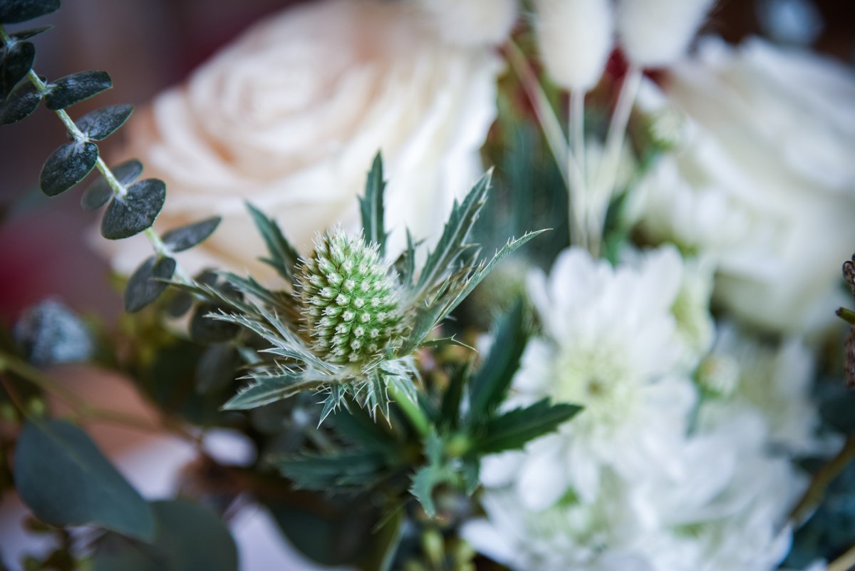 Andrea und Leo – Foto 21