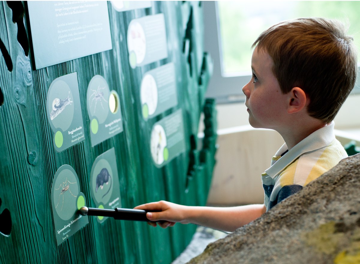 Waldwerkstatt – Nationalpark Bayerischer Wald – Foto 22