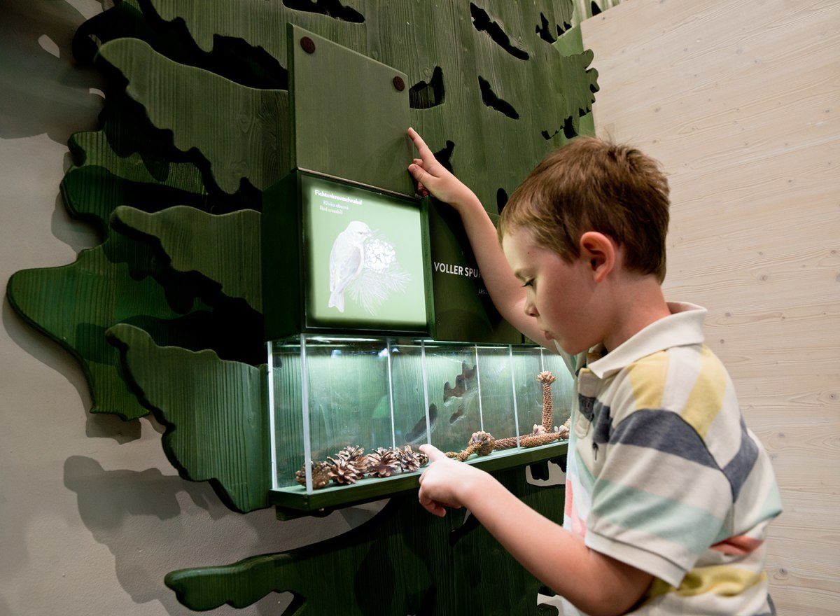 Waldwerkstatt – Nationalpark Bayerischer Wald – Foto 27