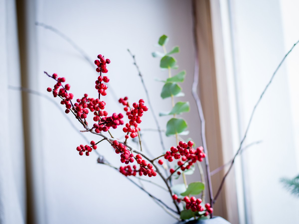 Haus Liebersberg – Foto 28