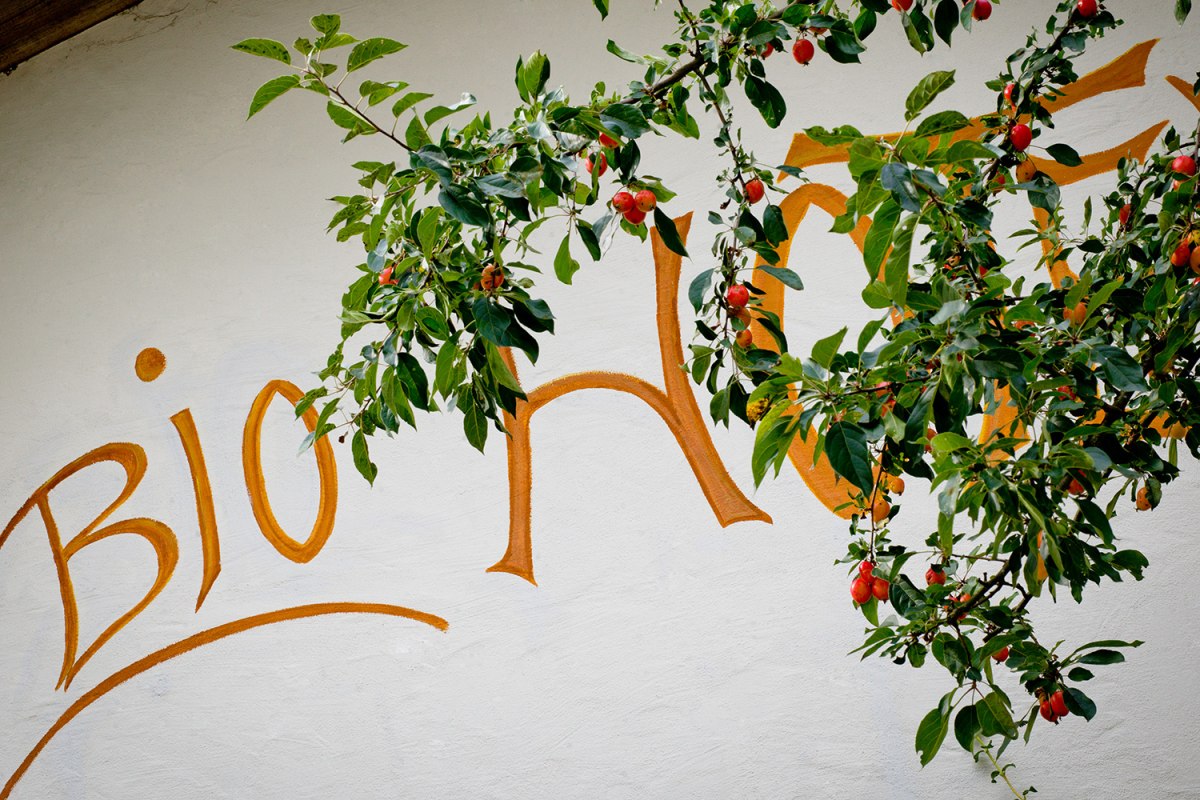 Biohotel Pausnhof – Foto 26