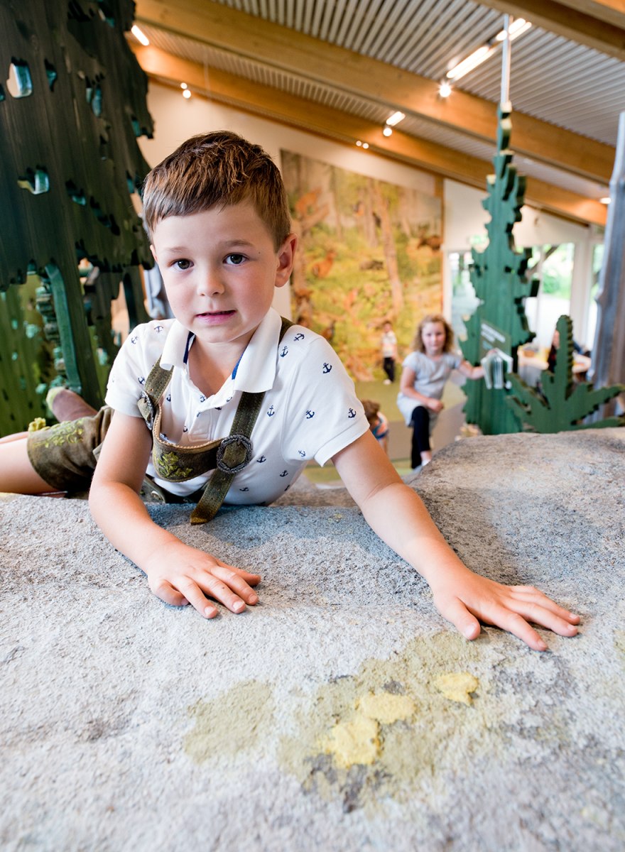 Waldwerkstatt – Nationalpark Bayerischer Wald – Foto 30