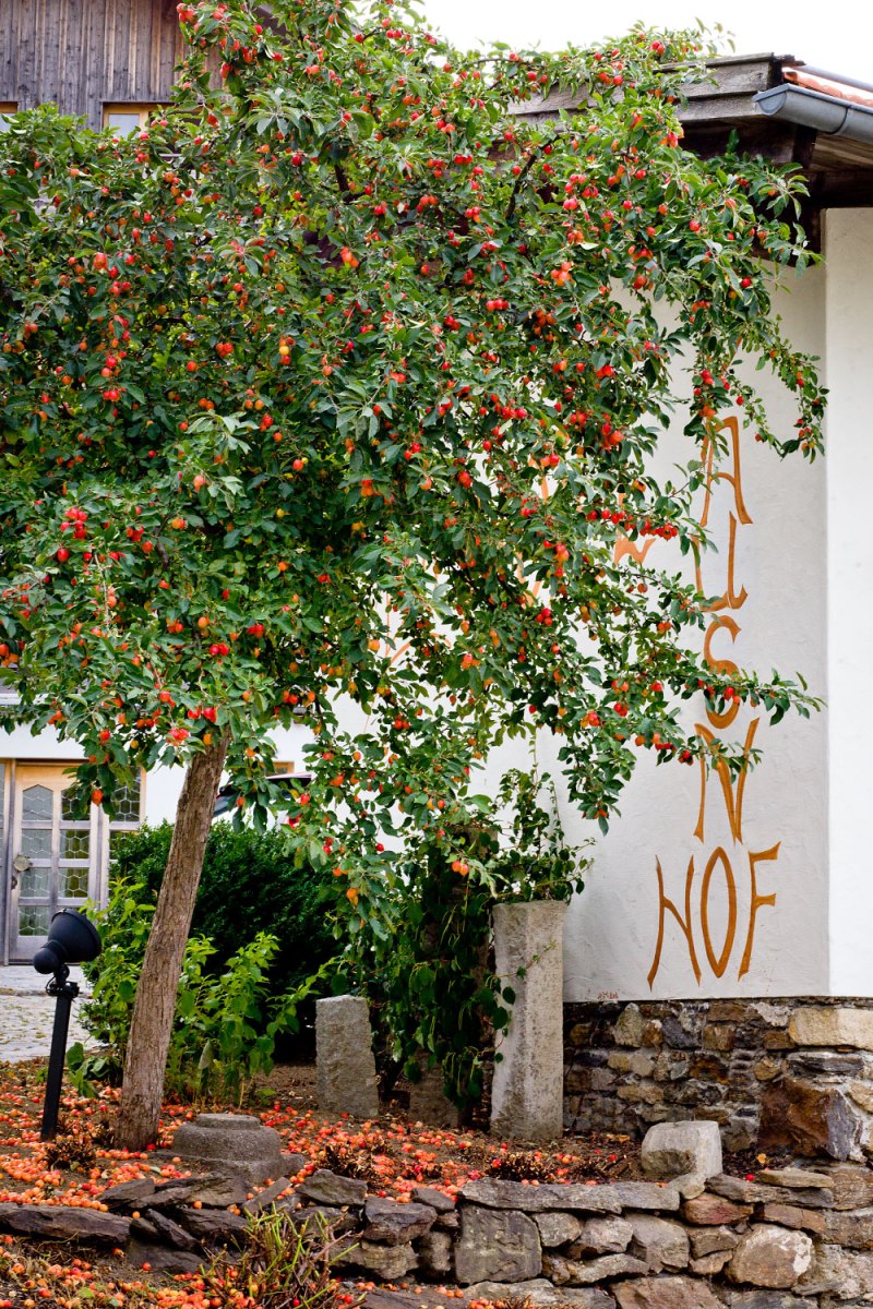 Biohotel Pausnhof – Foto 25