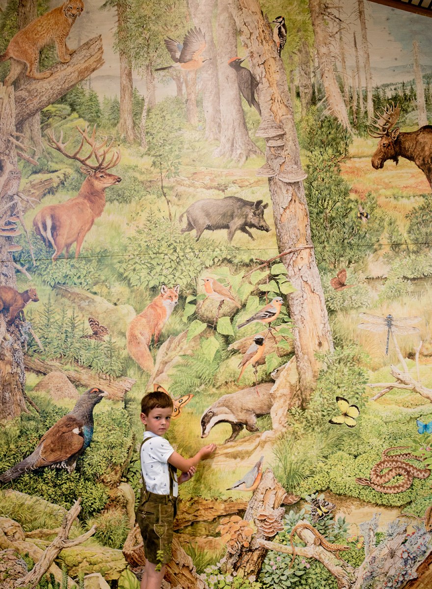 Waldwerkstatt – Nationalpark Bayerischer Wald – Foto 31