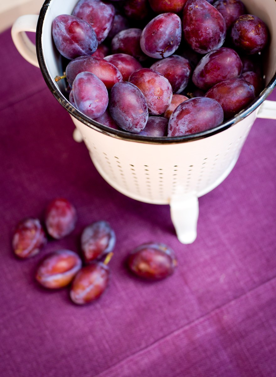 Biohotel Pausnhof – Foto 20