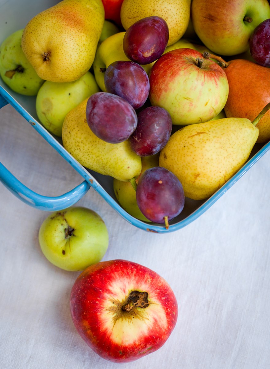 Biohotel Pausnhof – Foto 19