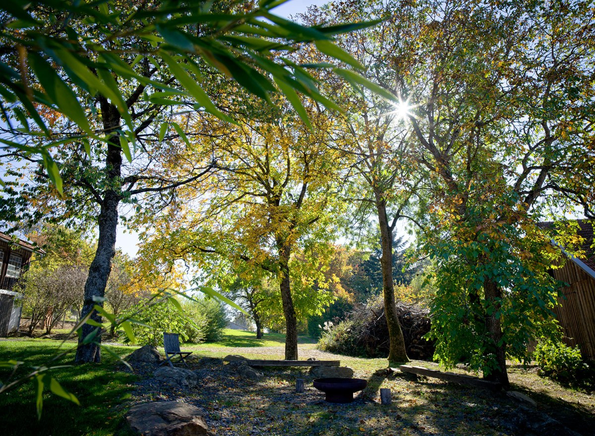Biohotel Pausnhof – Foto 8