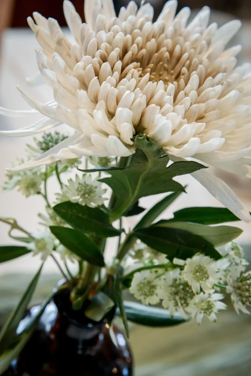 Carina und Stefan – Foto 47