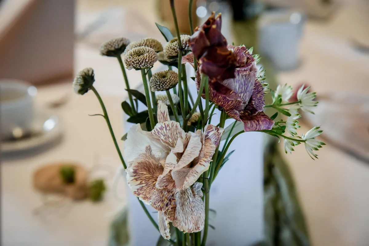 Carina und Stefan – Foto 51