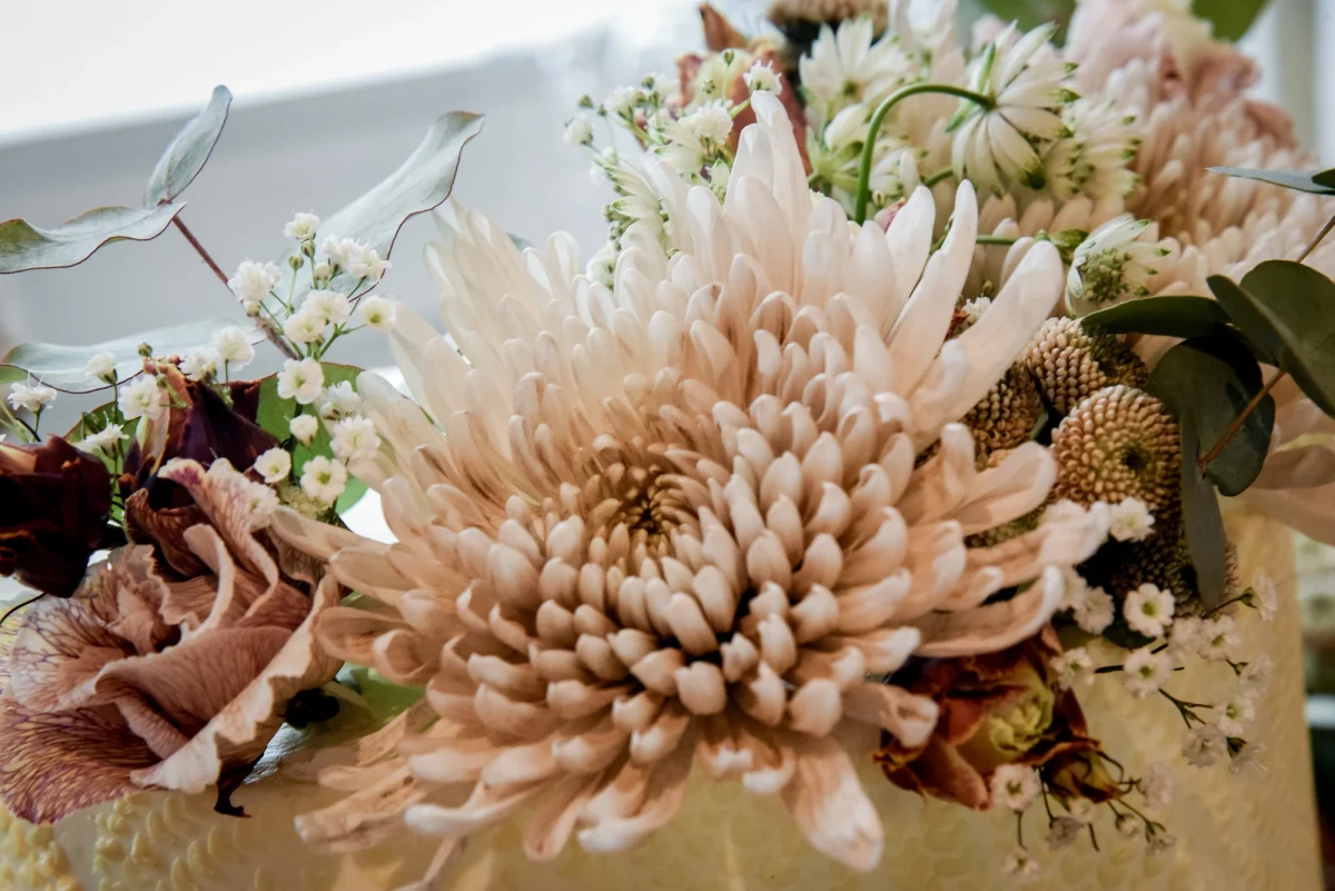 Carina und Stefan – Foto 50