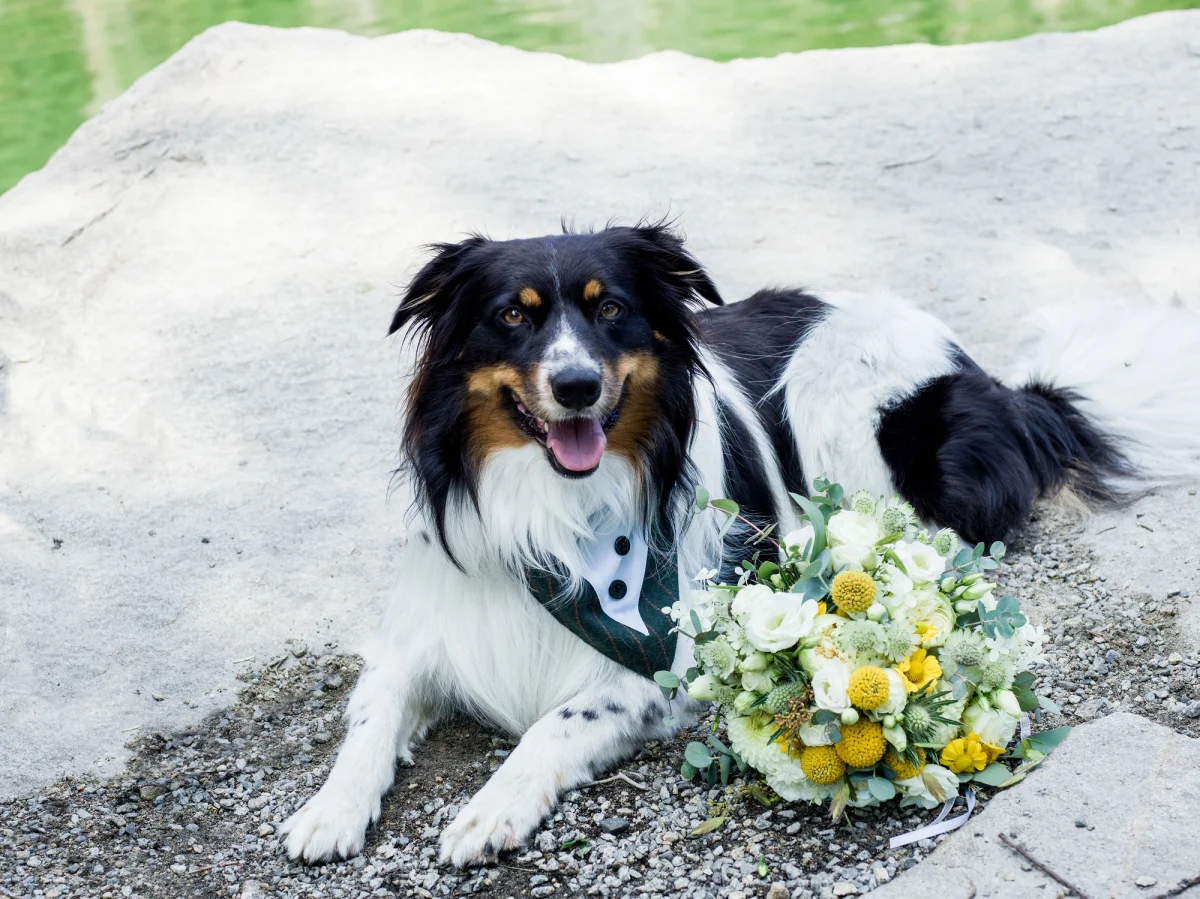 Julia und Christopher – Foto 4