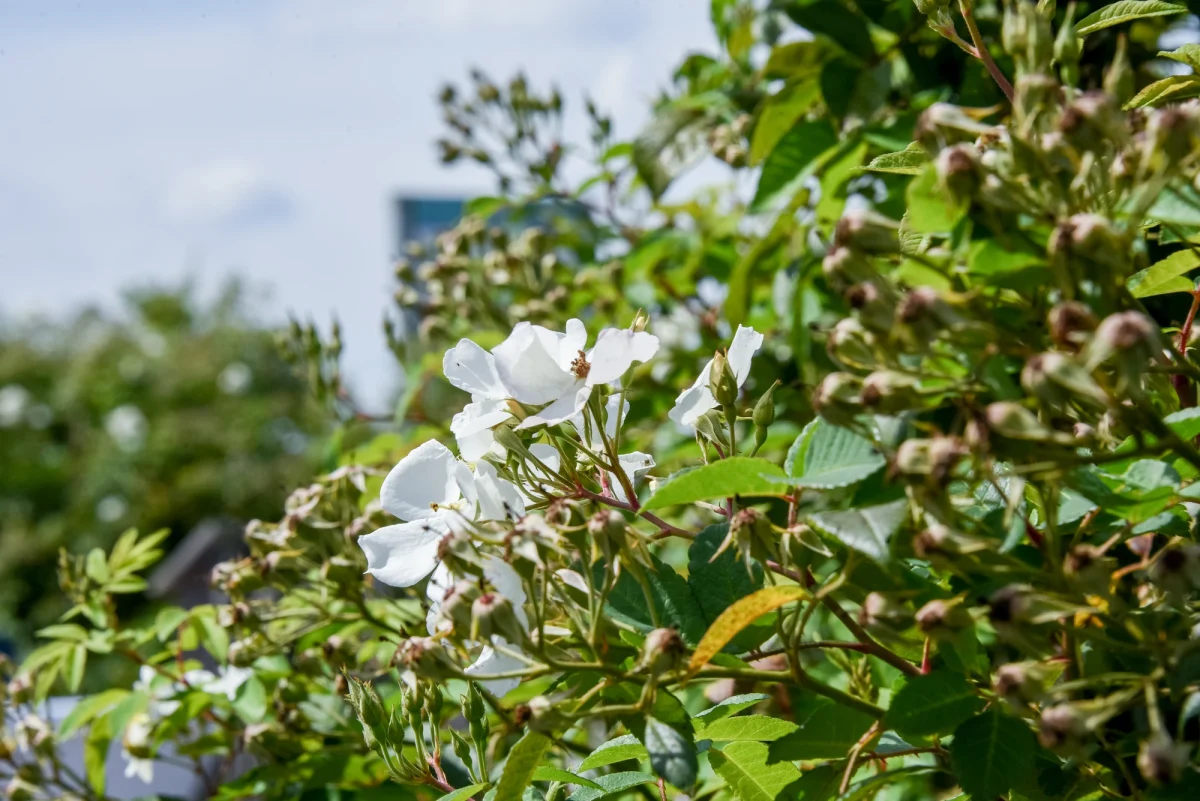 Julia und Christopher – Foto 32