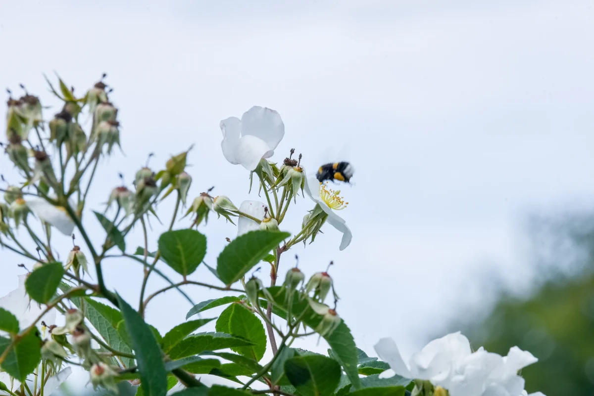 Julia und Christopher – Foto 37