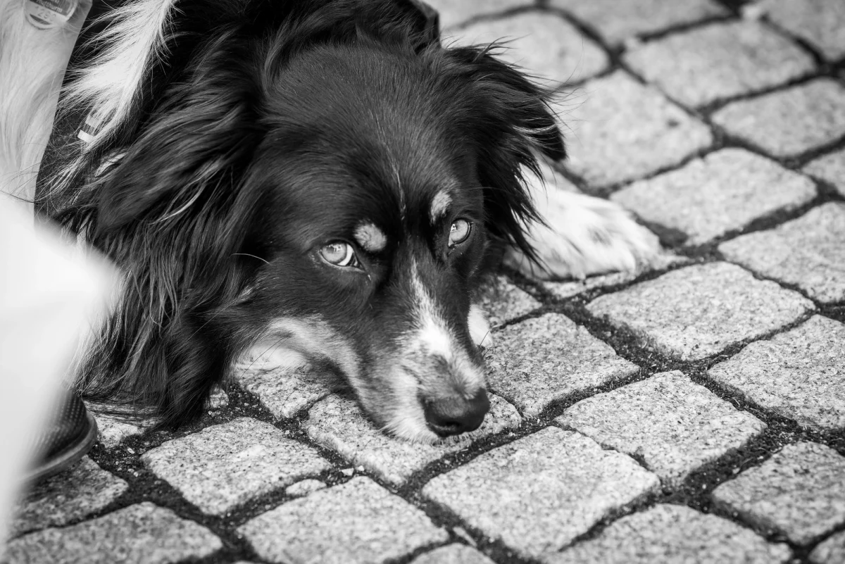 Julia und Christopher – Foto 40