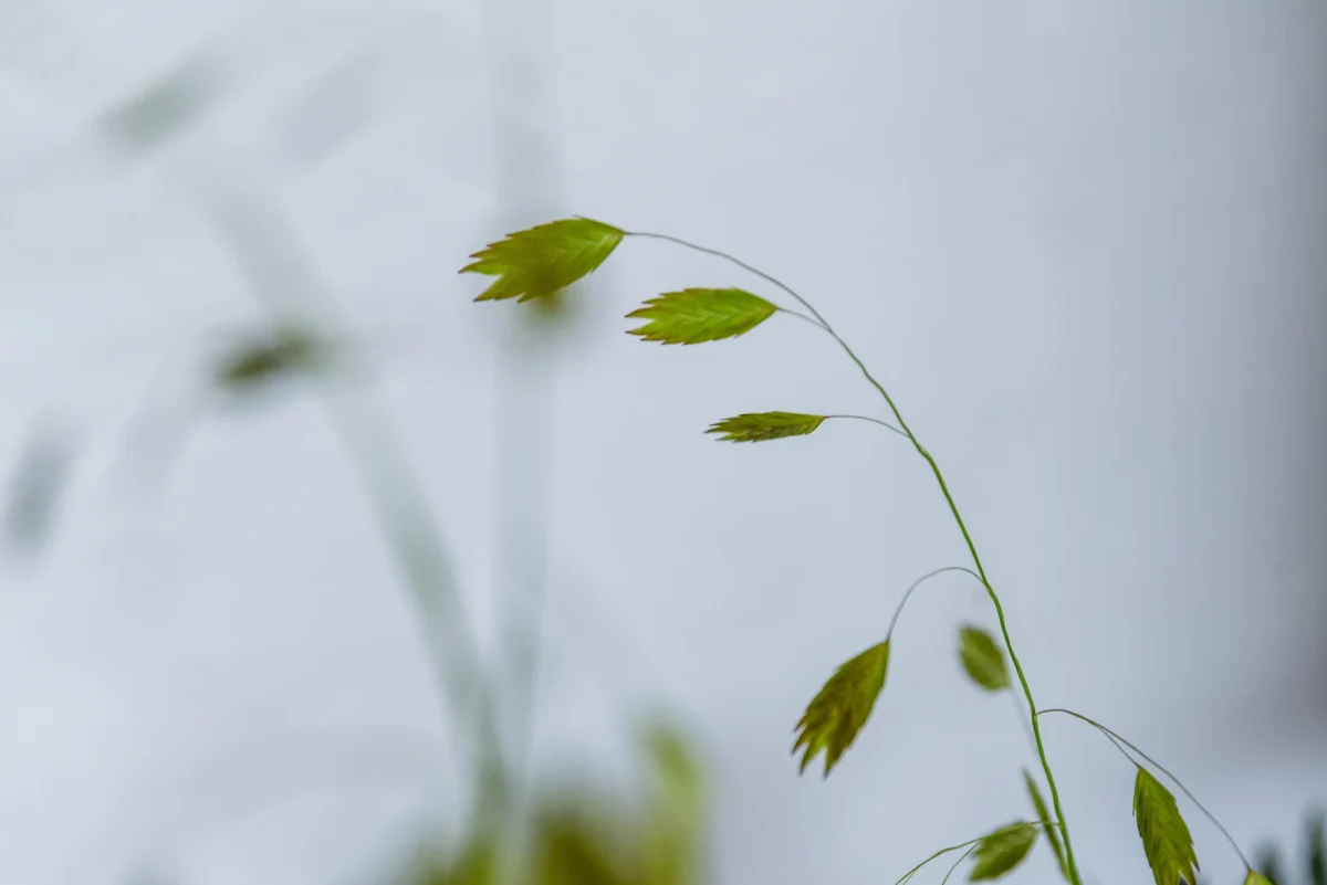 Julia und Christopher – Foto 67